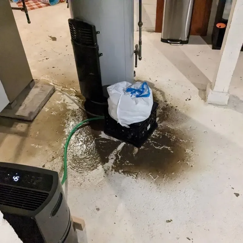 Sewage Backup Cleanup Service in Valentine, NE